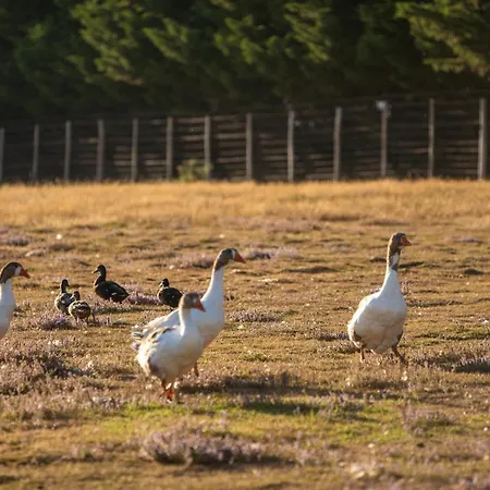Campingplads Les Brillas Les Moutiers