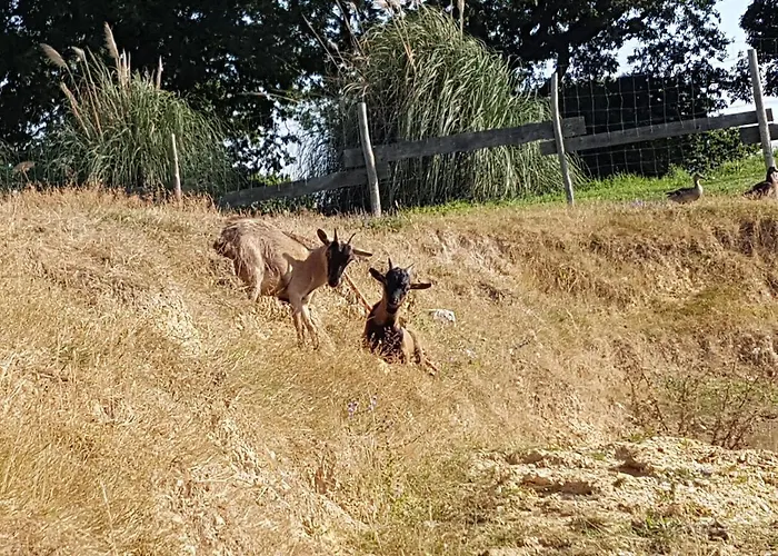 Les Brillas * Les Moutiers