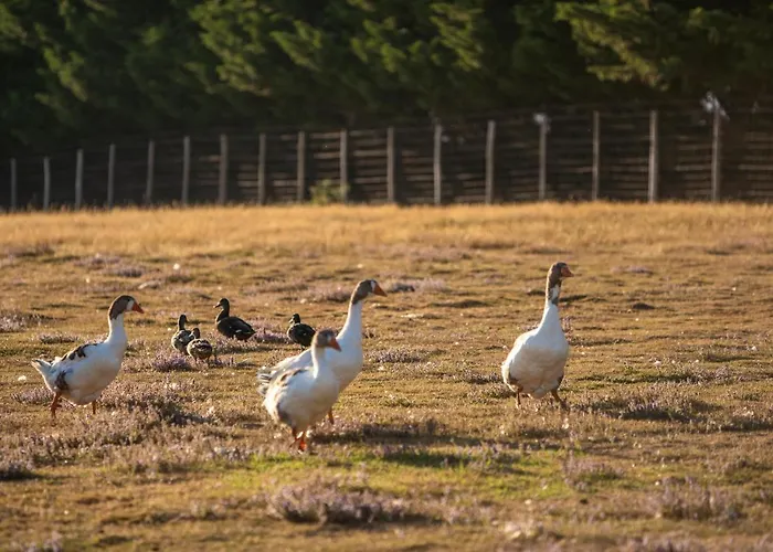 Parque de Campismo Les Brillas Les Moutiers